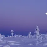 Norlight - Aurinko West Ivalo