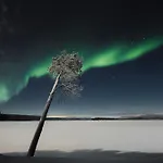Norlight - Aurinko West Ivalo