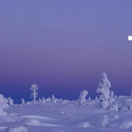 Norlight - Aurinko West Ivalo