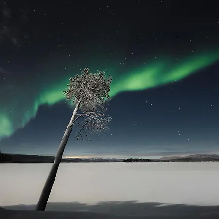 Norlight - Aurinko West Ivalo