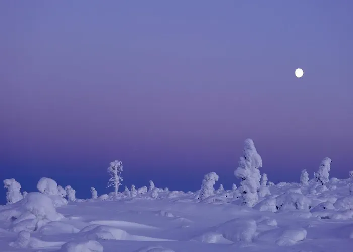 Norlight - Aurinko West Ivalo