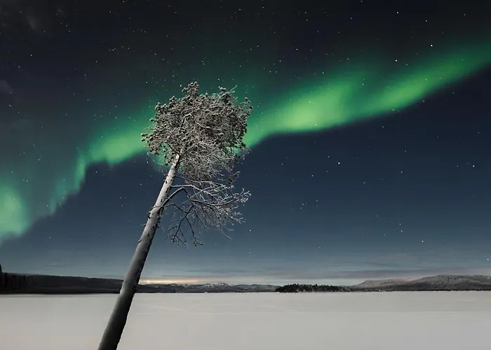 Norlight - Aurinko West Ivalo