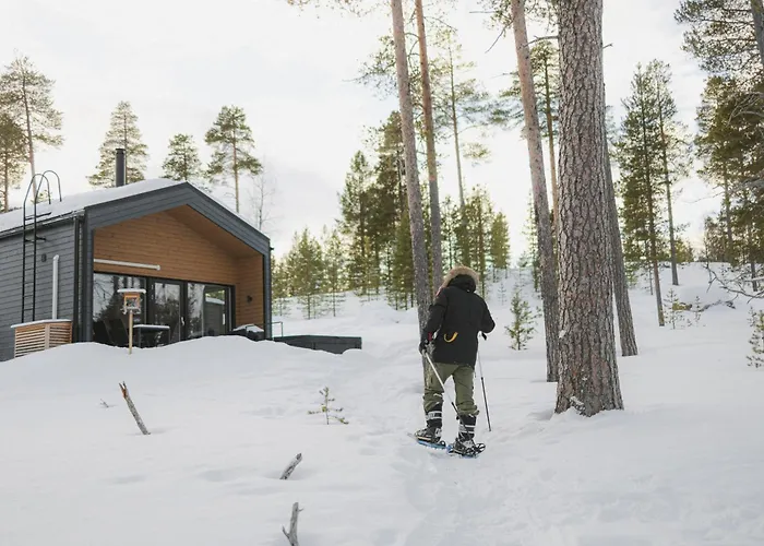 Norlight - Aurinko West Hébergement de vacances